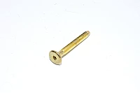 M6x1, 50mm, RH, brass-plated steel, allen socket head, demon bolt, 4.6
