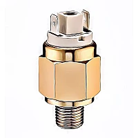 Vacuum switches