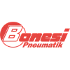 Bonesi pneumatik