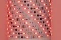 Worldsemi HC-T12V-10L-30LED-W-IP20 WS2811 12VDC 36W 30LED/m IP20 flexible digital LED strip, 5m reel *new*