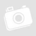 Deltabit Gatekeeper Lite N + GK pro control point module