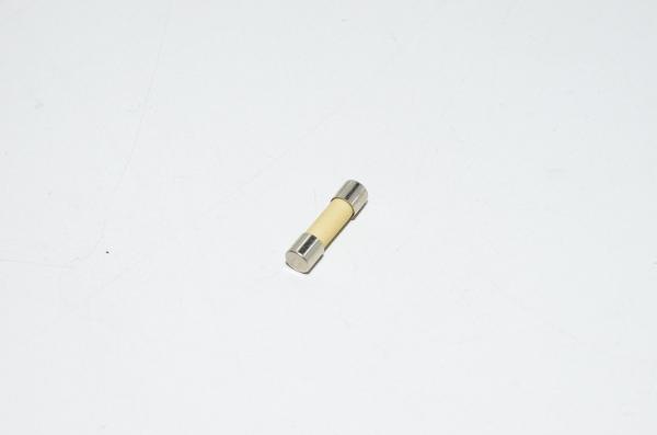 FF2A 5x20mm lasiputkisulake 250V