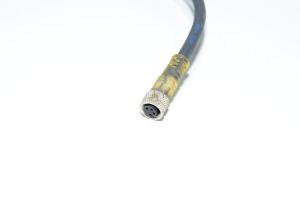 Sensor cable Baumer ESG 32AP5 with molded plastic straight unshielded 4-pin female M8 sensor connector