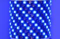 Worldsemi HC-F5V-30L-30LED-B-IP65 WS2812B 5VDC 45W 30LED/m IP65 flexible digital LED strip, 5m reel *new*