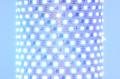 Worldsemi HC-T12V-20L-60LED-W-IP20 WS2811 12VDC 72W 60LED/m IP20 joustava digitaalinen LED-nauha, 5m kela *uusi*