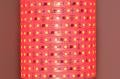 Worldsemi HC-T12V-20L-60LED-W-IP60 WS2811 12VDC 72W 60LED/m IP60 joustava digitaalinen LED-nauha, 5m kela *uusi*