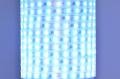 Worldsemi HC-T12V-20L-60LED-W-IP60 WS2811 12VDC 72W 60LED/m IP60 joustava digitaalinen LED-nauha, 5m kela *uusi*