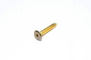 M6x1, 35mm, RH, brass-plated steel, allen socket head, demon bolt, 4.6