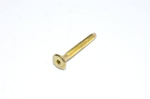 M6x1, 50mm, RH, brass-plated steel, allen socket head, demon bolt, 4.6