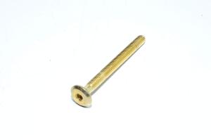 M6x1, 65mm, RH, brass-plated steel, allen socket head, demon bolt, 4.6